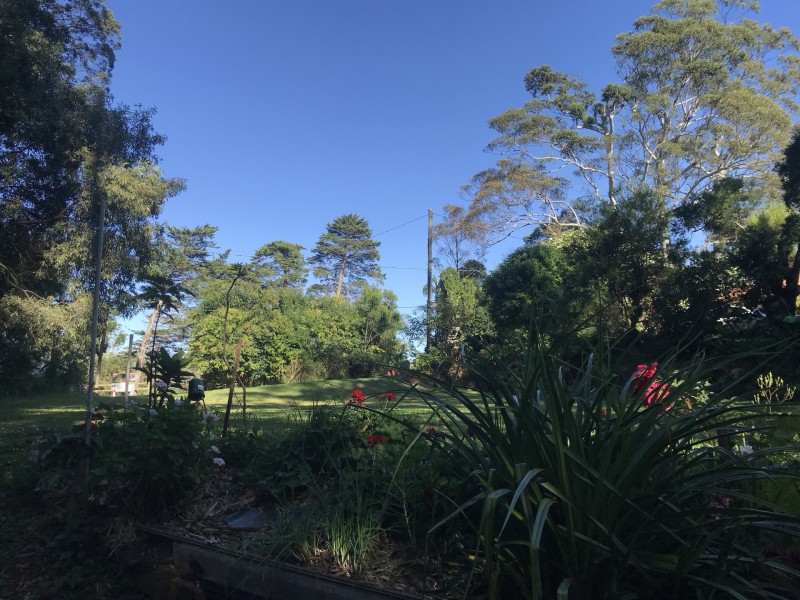 39 Knoll Road, Tamborine Mountain QLD 4272