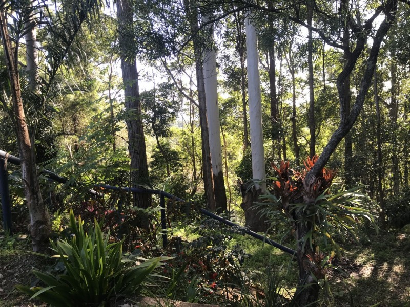 39 Knoll Road, Tamborine Mountain QLD 4272