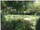 39 Knoll Road, Tamborine Mountain QLD 4272