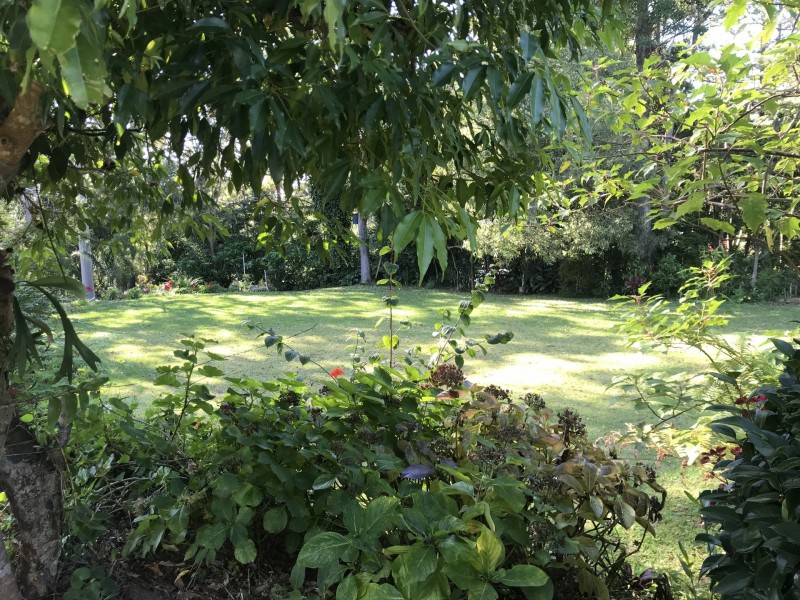 39 Knoll Road, Tamborine Mountain QLD 4272
