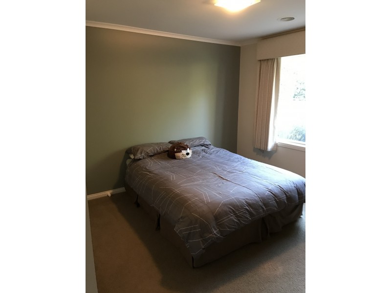 3 Ryeland Court, Alfredton VIC 3350