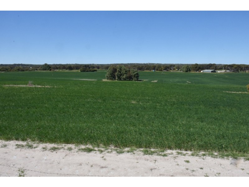 164 Springfield Drive, Springfield WA 6525