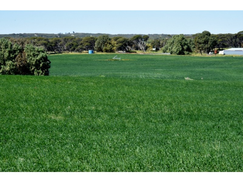 164 Springfield Drive, Springfield WA 6525