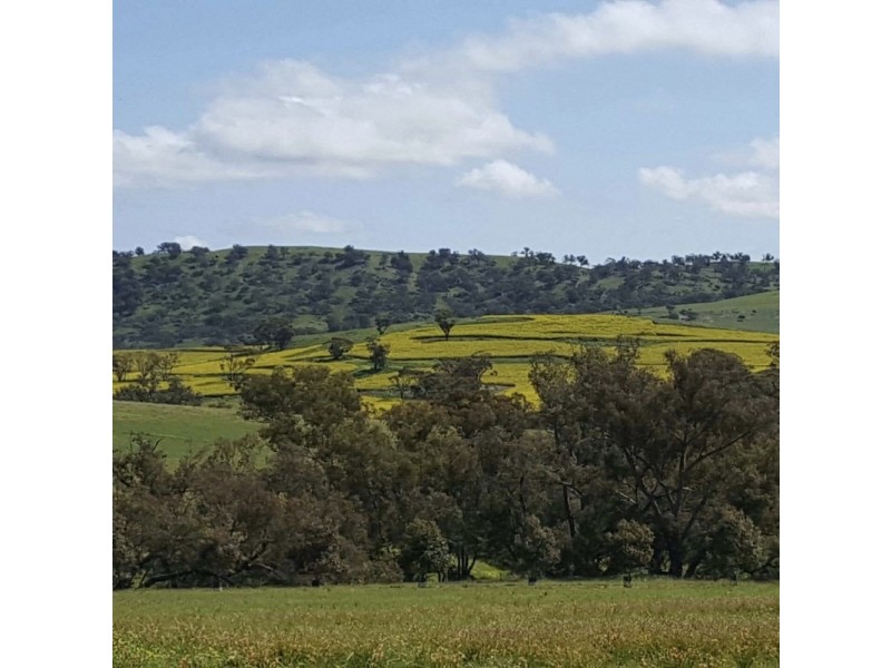 Lot 205 Dumbarton road, Dumbarton WA 6566