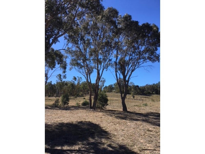 19 Ailsa Crescent, Armidale NSW 2350