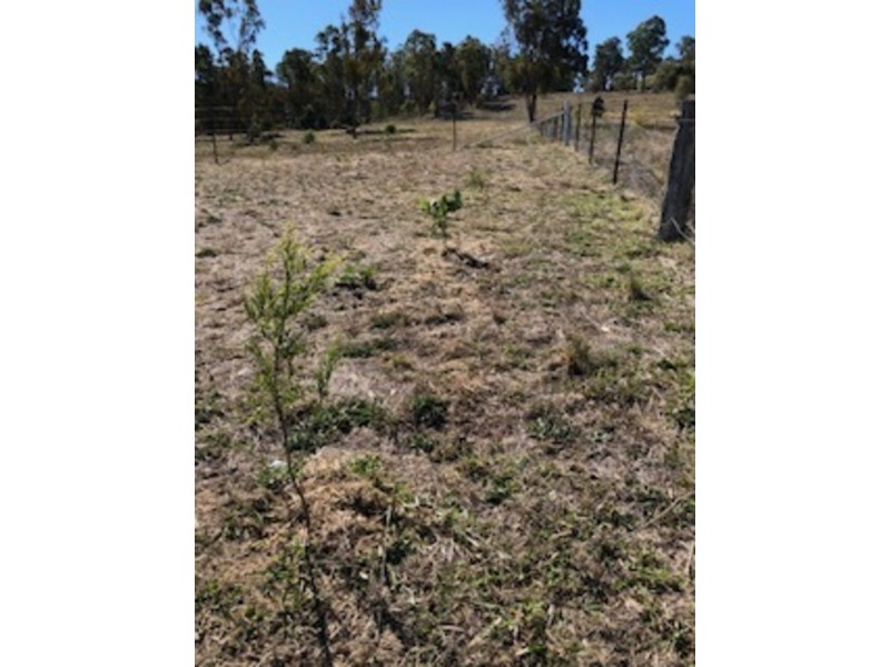 19 Ailsa Crescent, Armidale NSW 2350