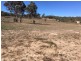 19 Ailsa Crescent, Armidale NSW 2350