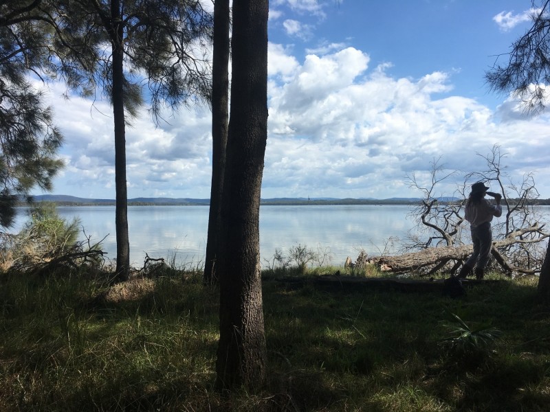 Lot 50 The Lakes Way, Forster Keys NSW 2428