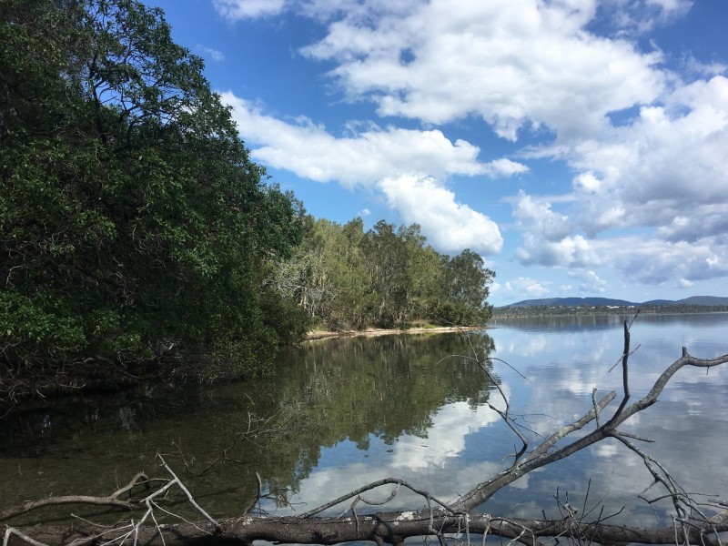 Lot 50 The Lakes Way, Forster Keys NSW 2428