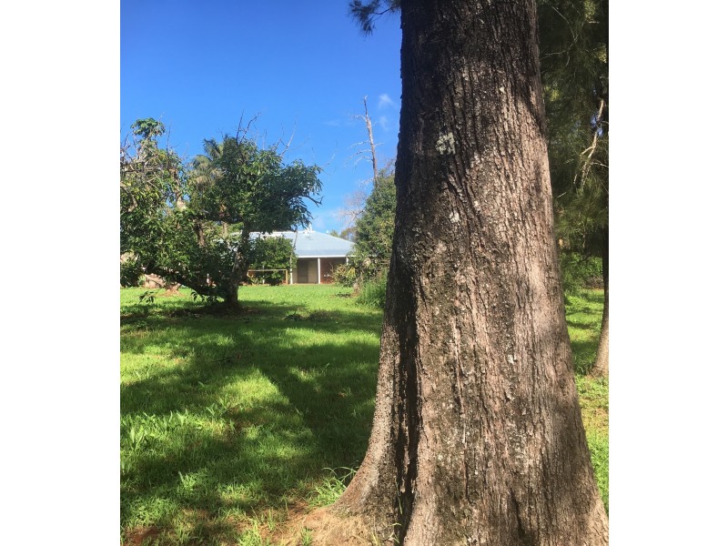 19 Hewetsons Lane, Rous Mill NSW 2477