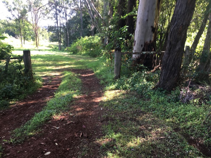 19 Hewetsons Lane, Rous Mill NSW 2477