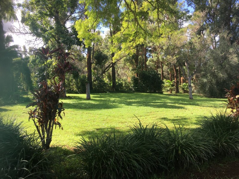 19 Hewetsons Lane, Rous Mill NSW 2477