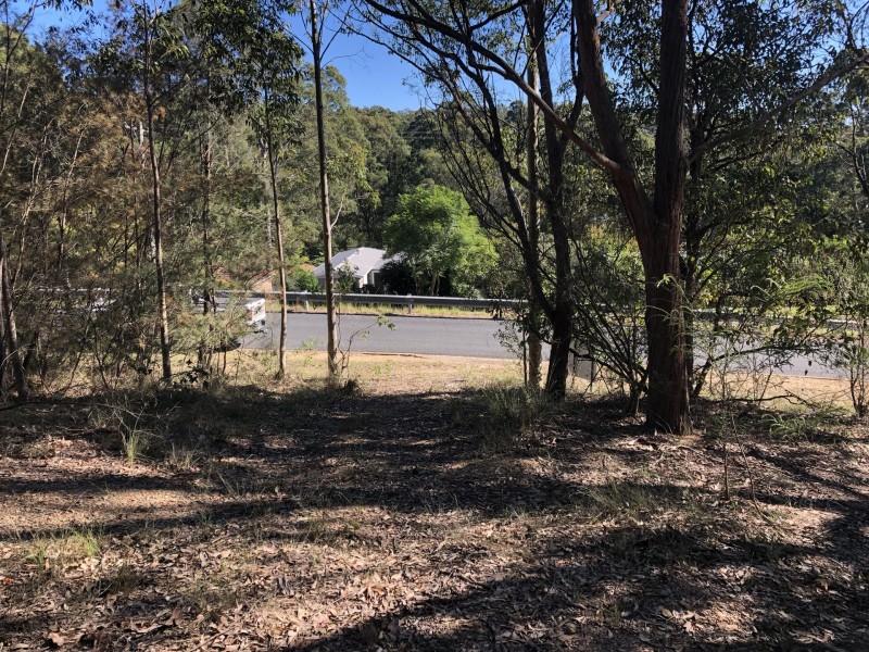 43 Albatross Road, Catalina NSW 2536