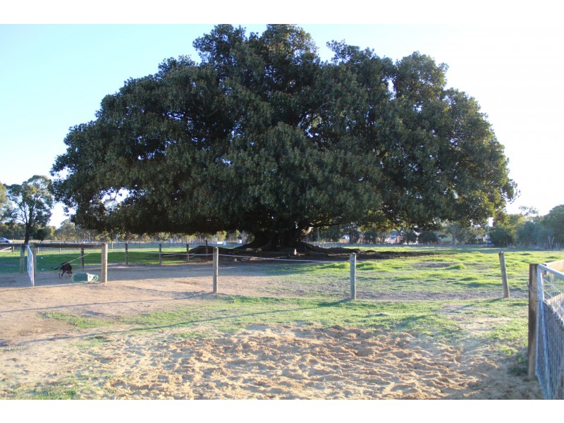 9 Paterson Road, Waroona WA 6215