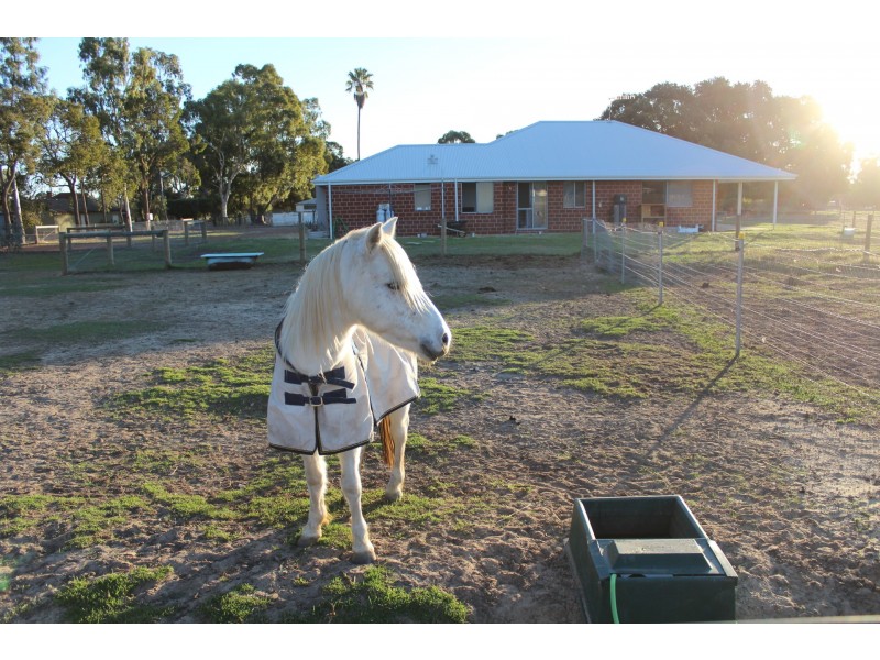 9 Paterson Road, Waroona WA 6215