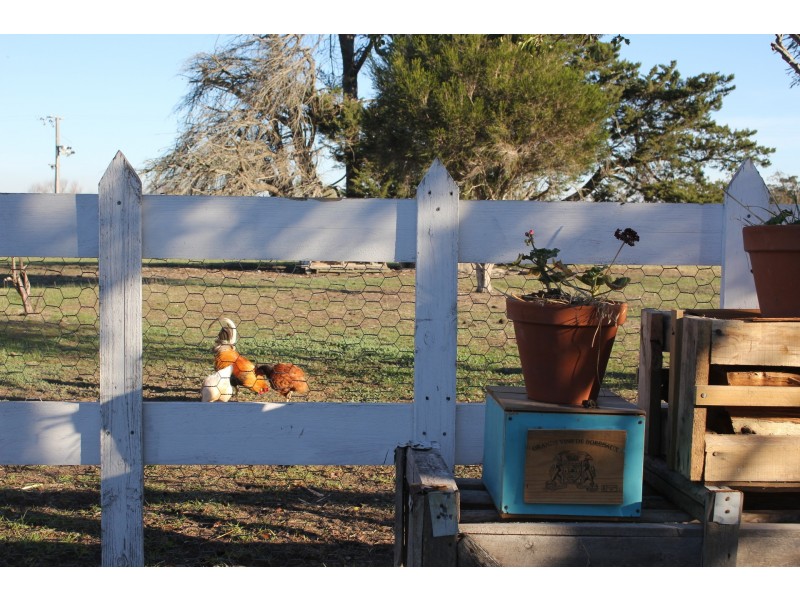 166 Afflecks Road, Toongabbie VIC 3856