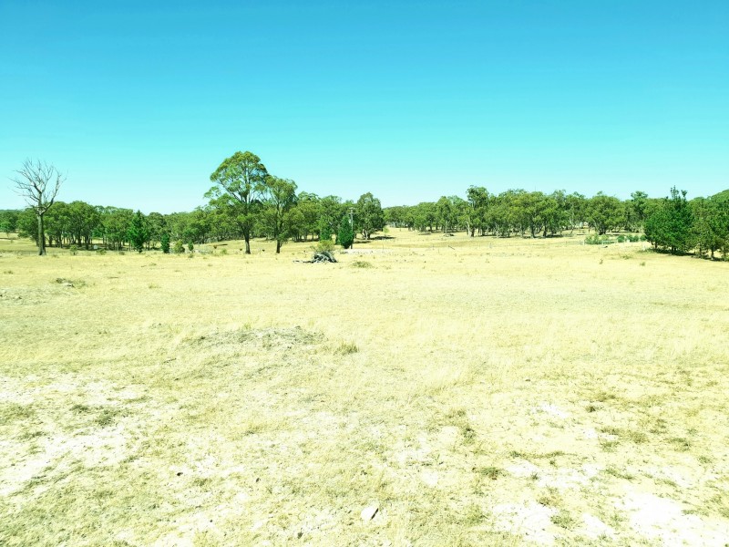 1425 Bundarra Rd, Invergowrie NSW 2350