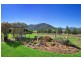 242 Catherine Way, Daruka NSW 2340