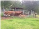 216 Welches Road, Wongawallan QLD 4210