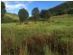 216 Welches Road, Wongawallan QLD 4210