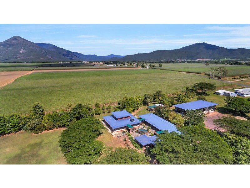 136 Crossland Road, Gordonvale QLD 4865