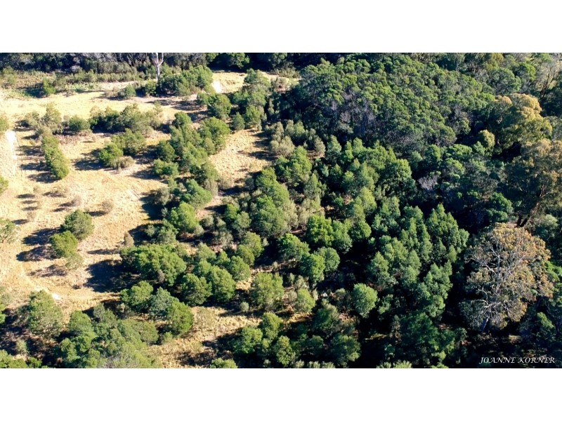 Lot 9 Corner Princes Highway & Imlay Road, Narrabarba NSW 2551