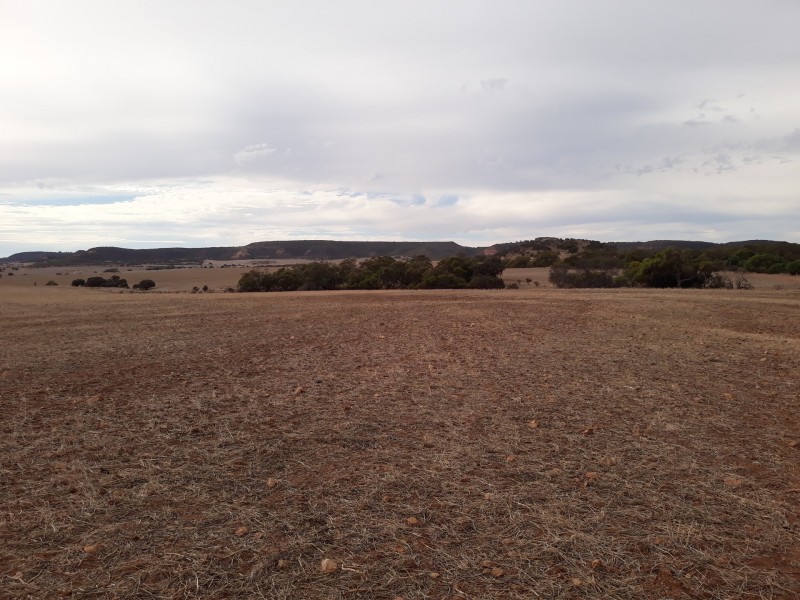 72 Oakajee Road, Howatharra WA 6532