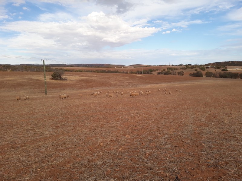 72 Oakajee Road, Howatharra WA 6532