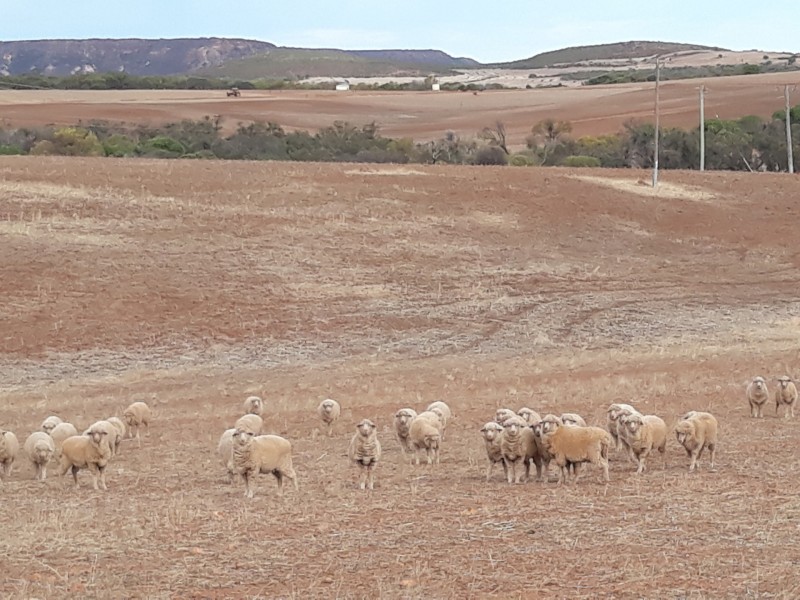 72 Oakajee Road, Howatharra WA 6532