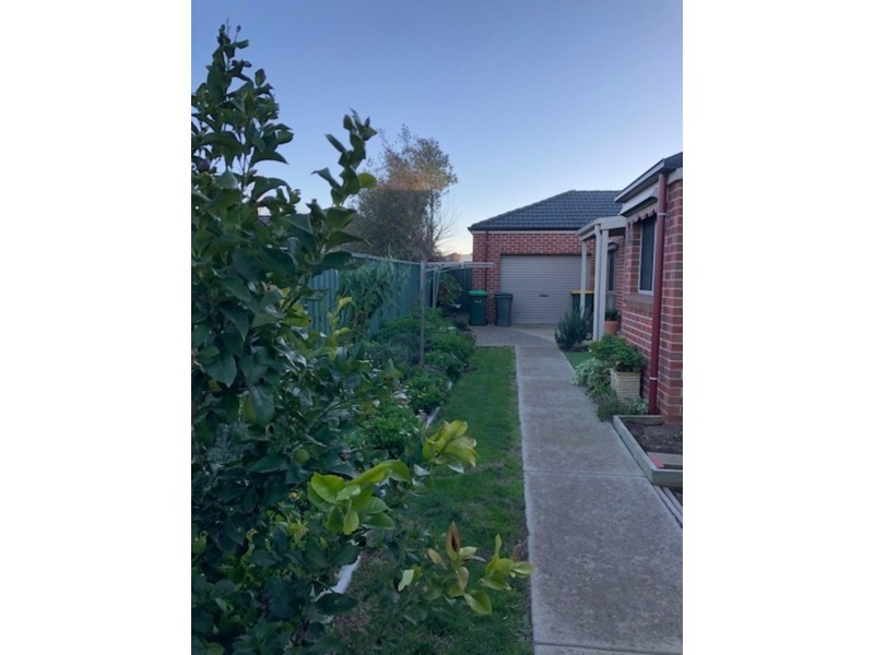 63 Lake Gardens Avenue, Lake Gardens VIC 3355