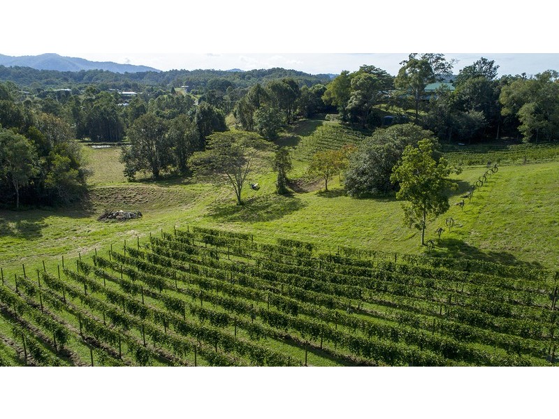 5 Booyong Place, Nobbys Creek NSW 2484