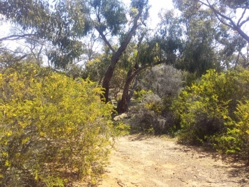 Lot 4 Donald-Stawell Road, Stawell VIC 3380