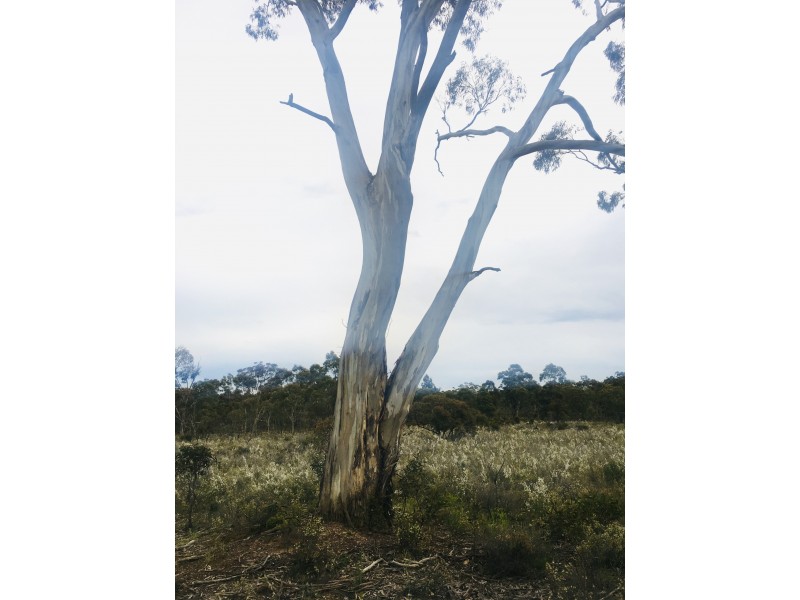 Lot 4 Donald-Stawell Road, Stawell VIC 3380