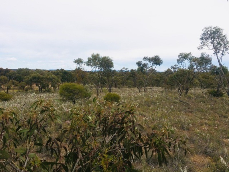 Lot 4 Donald-Stawell Road, Stawell VIC 3380