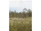 Lot 4 Donald-Stawell Road, Stawell VIC 3380
