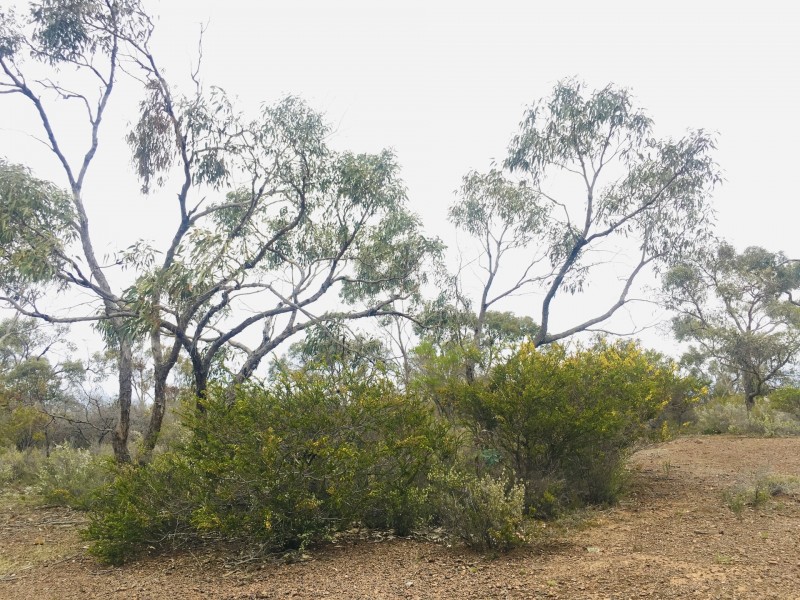 Lot 4 Donald-Stawell Road, Stawell VIC 3380