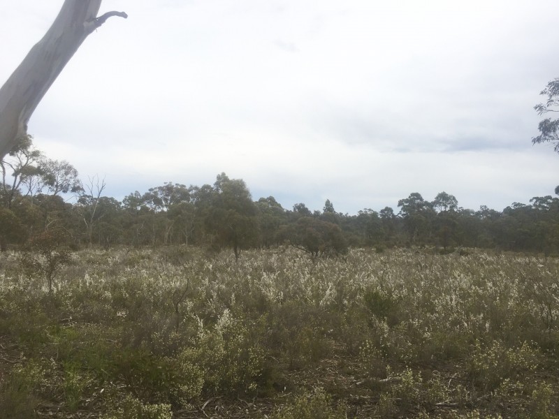 Lot 4 Donald-Stawell Road, Stawell VIC 3380