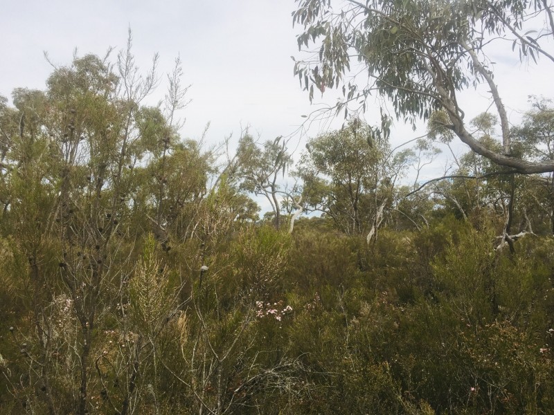 Lot 4 Donald-Stawell Road, Stawell VIC 3380