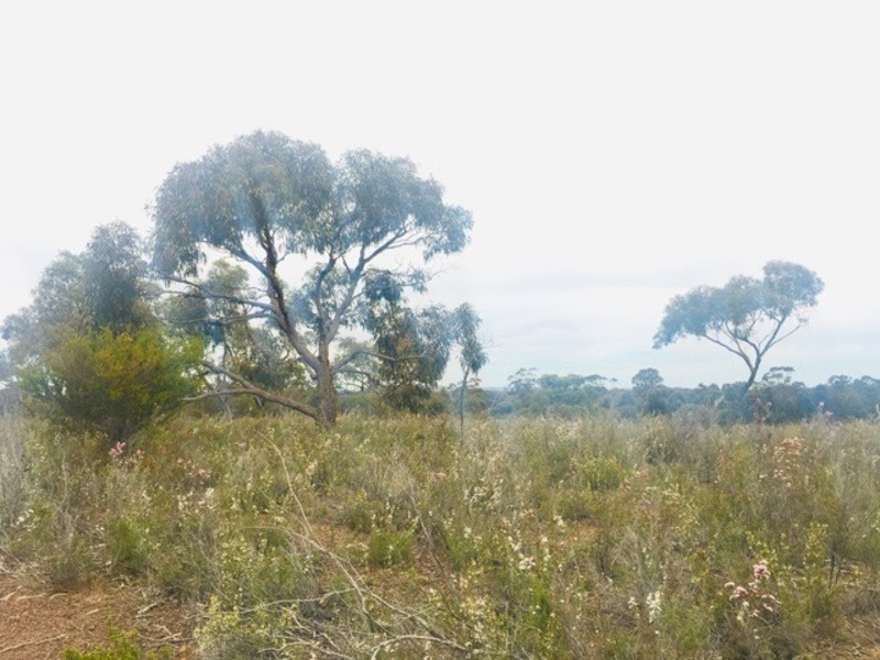 Lot 4 Donald-Stawell Road, Stawell VIC 3380