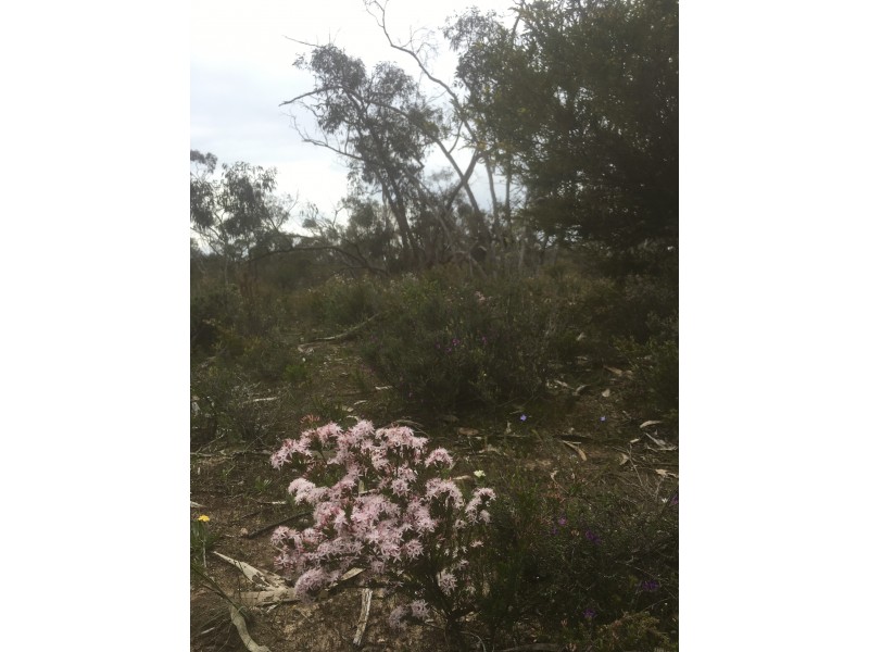 Lot 4 Donald-Stawell Road, Stawell VIC 3380