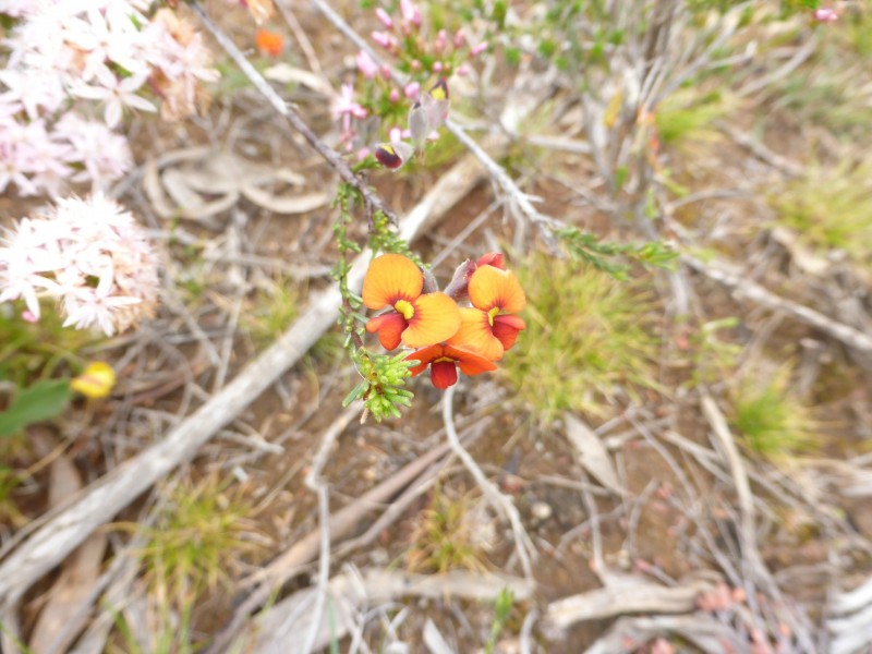 Lot 4 Donald-Stawell Road, Stawell VIC 3380