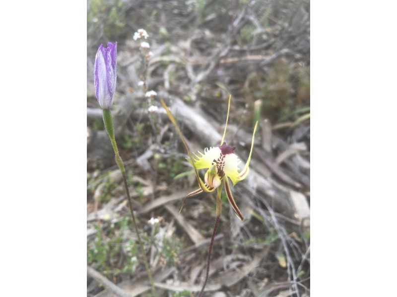 Lot 4 Donald-Stawell Road, Stawell VIC 3380