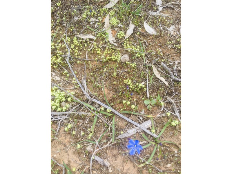 Lot 4 Donald-Stawell Road, Stawell VIC 3380