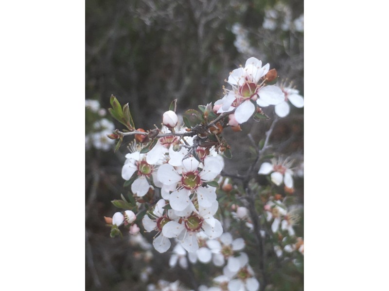 Lot 4 Donald-Stawell Road, Stawell VIC 3380