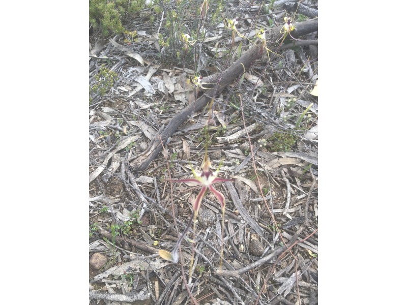 Lot 4 Donald-Stawell Road, Stawell VIC 3380