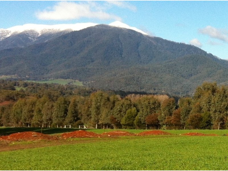 74 Kiewa Valley Highway, Tawonga VIC 3697