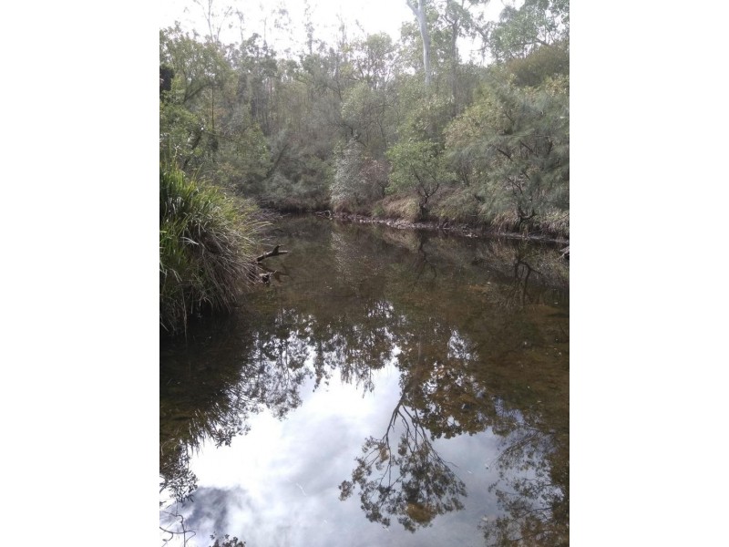 Lot 185, Bulldog Road, Bulldog NSW 2469