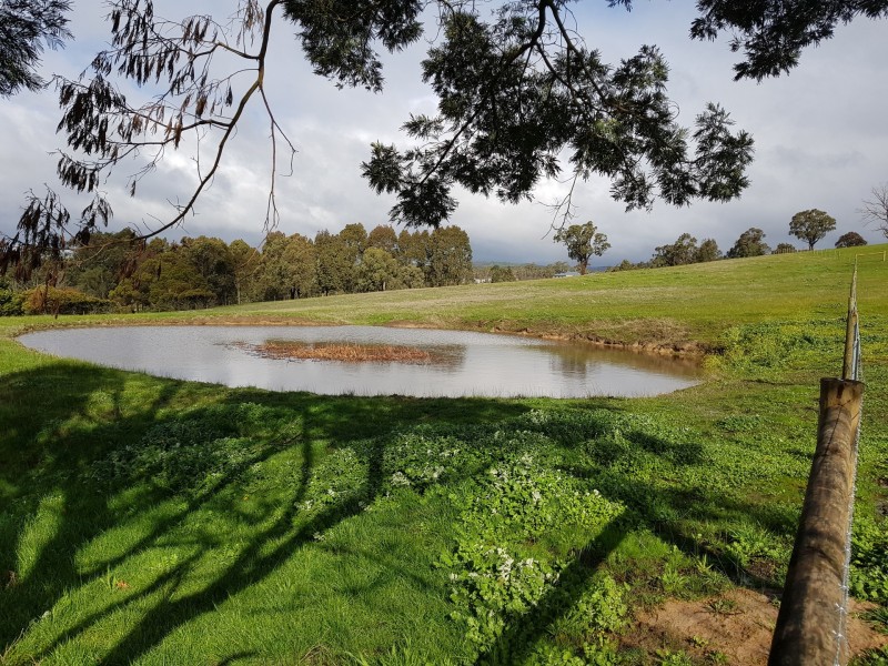 8-28 Arrandoon Drive, Hazelwood North VIC 3840