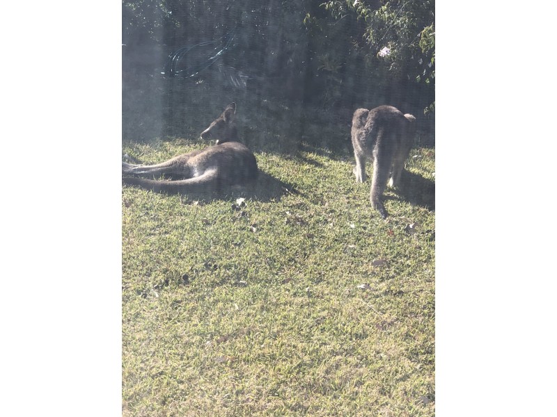 21 Boronia Avenue, Sanctuary Point NSW 2540