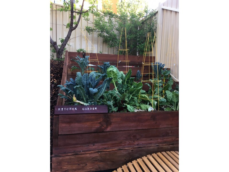 1 Olinda Place, Conder ACT 2906